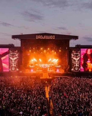 Live concert by Hogs For A Cause: Charles Wesley Godwin & Stephen Wilson Jr. - 2 Day Pass