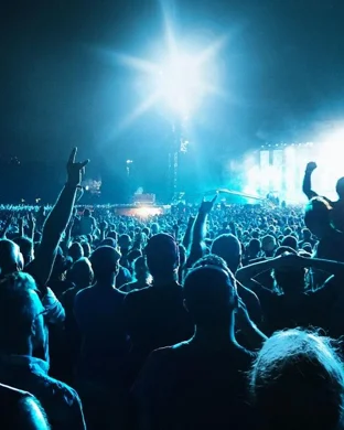 Dogs In A Pile New Orleans