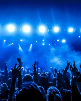 Live concert by The Floozies & Too Many Zooz