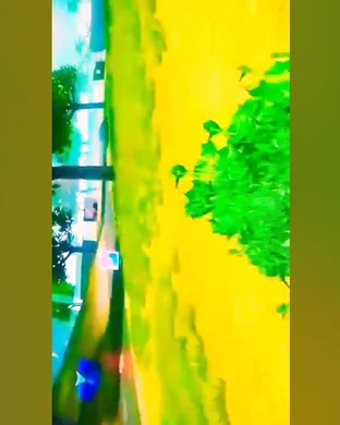 Live concert by B2K, Bow Wow, Waka Flocka Flame & Jeremih