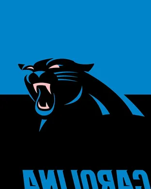 Carolina Panthers vs. New Orleans Saints (Date: TBD)