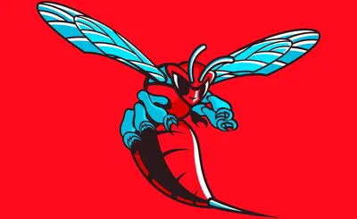 Delaware State Hornets