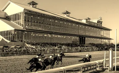 Fair Grounds Live Racing