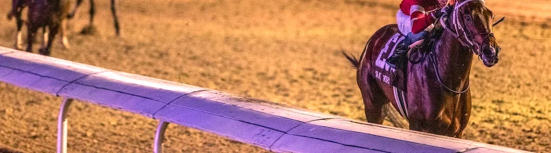 Fair Grounds Live Racing