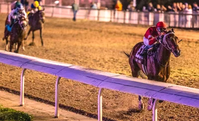 Fair Grounds Live Racing