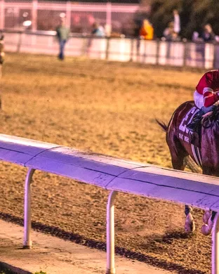 Fair Grounds Live Racing