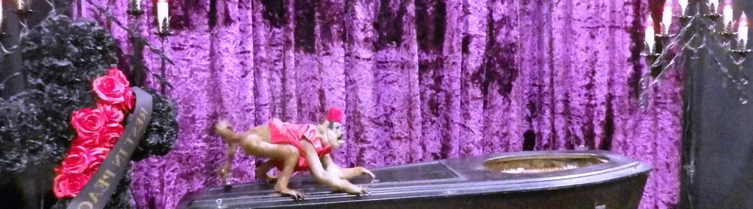 Oddities and Curiosities Expo