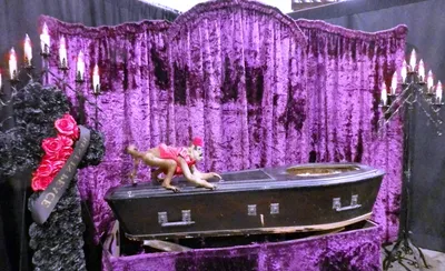 Oddities and Curiosities Expo