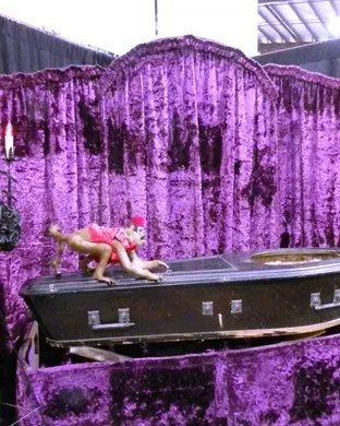 Oddities and Curiosities Expo - 2 Day Pass event