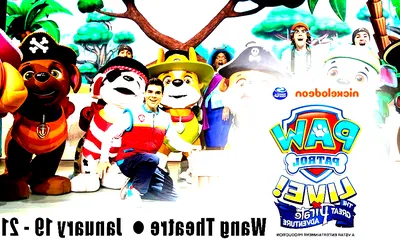 Paw Patrol Live