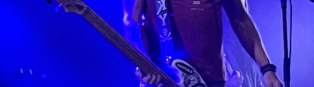 Peter Hook And The Light