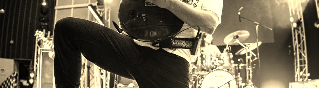 Pigeons Playing Ping Pong