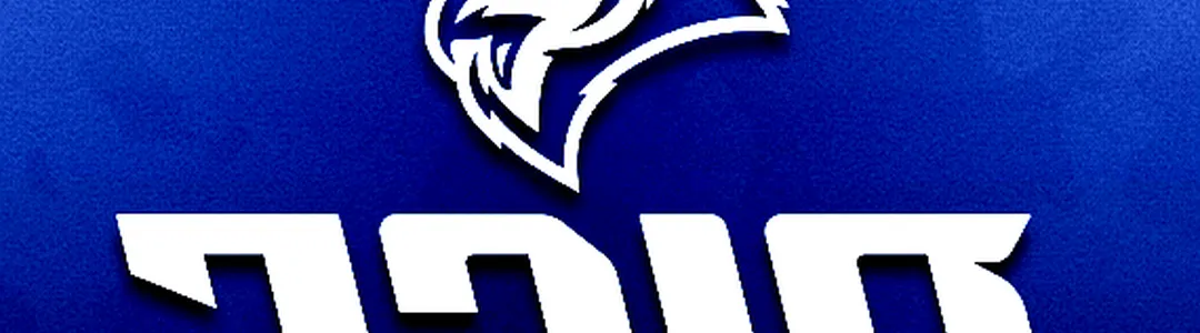 Rice Owls