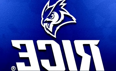 Rice Owls