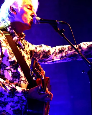 Robyn Hitchcock
