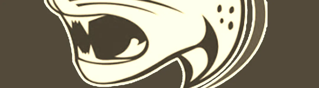 South Alabama Jaguars