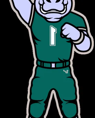 Tulane Green Wave Basketball