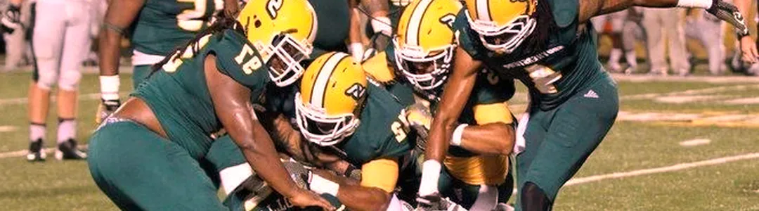 Southeastern Louisiana Lions