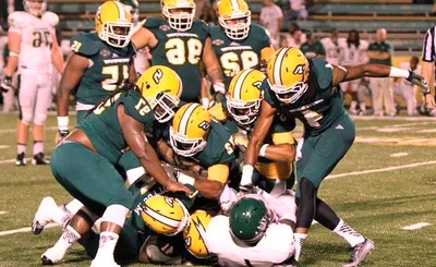 Southeastern Louisiana Lions