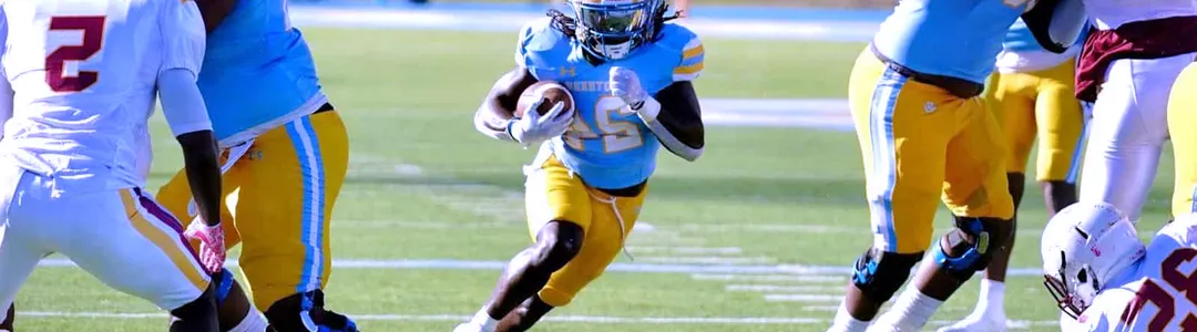 Southern Jaguars