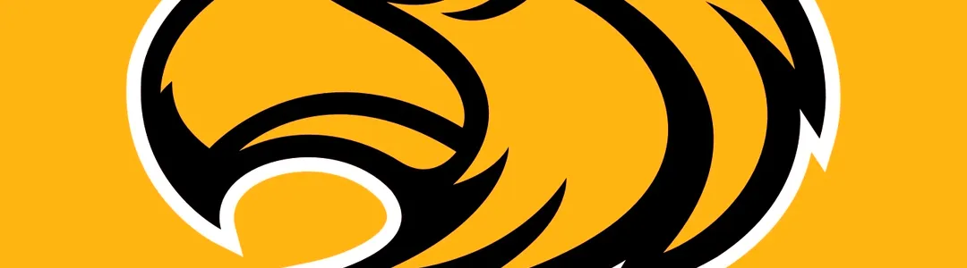 Southern Miss Golden Eagles