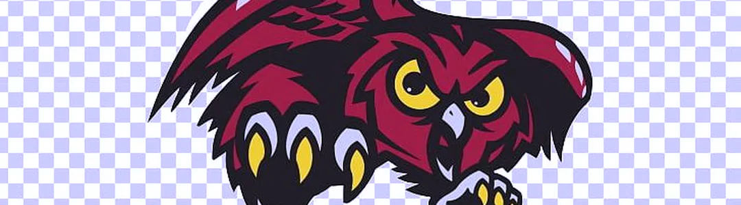 Temple Owls Women's Basketball