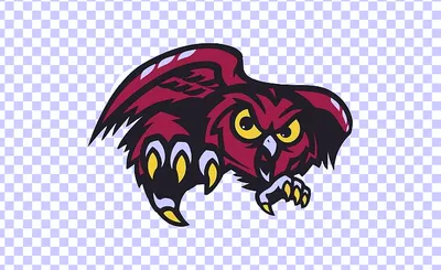 Temple Owls Women's Basketball