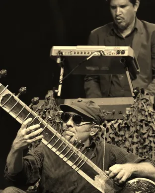 Thievery Corporation