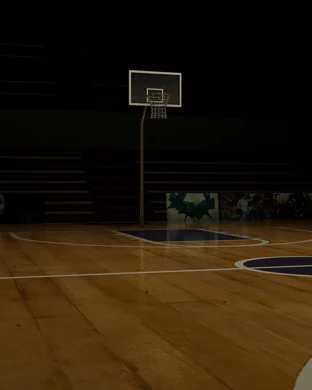 UTSA Roadrunners Women's Basketball